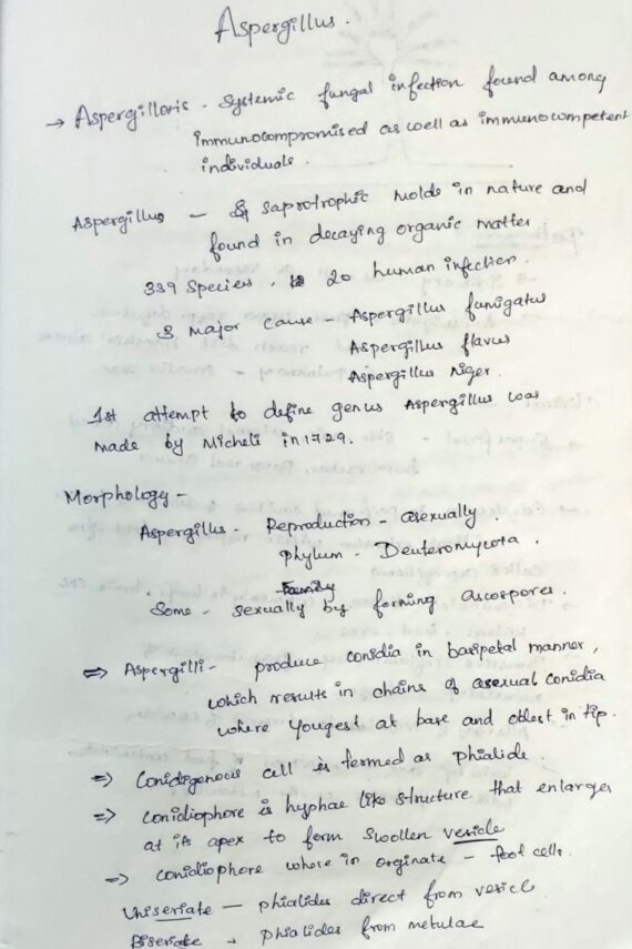 Aspergillus Notes PDF - Mycology, Microbiology Handwritten Notes