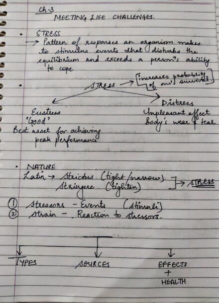 Psychology - Class 12 : Chapter 3 (MEETING LIFE CHALLENGES) Handwritten Notes