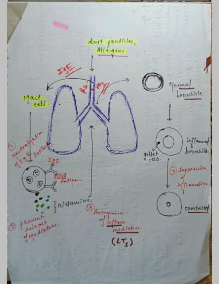 Respiratory pharmacology Notes PDF Download for MBBS Class