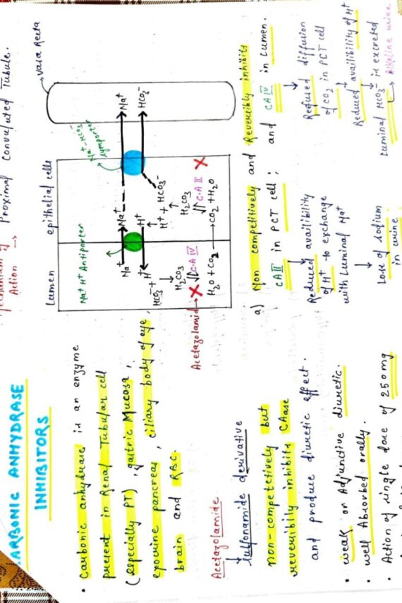 Renal pharmacology Notes PDF Download for MBBS Class
