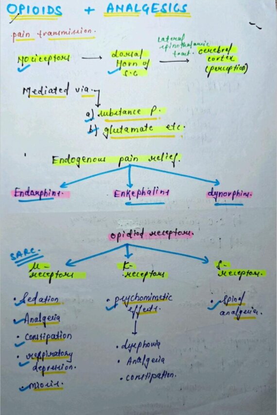 Analgesics and opioids notes PDF for NEET & MBBS