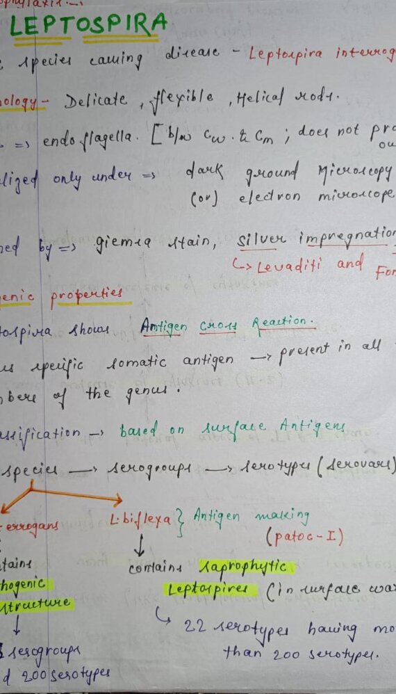 Leptospira microbiology Handwritten Notes PDF