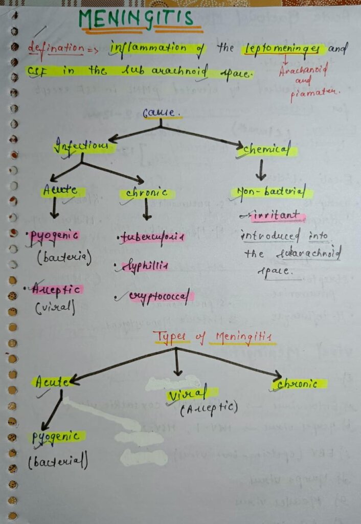 Meningitis Microbiology Notes PDF – Shop Handwritten Notes (SHN)