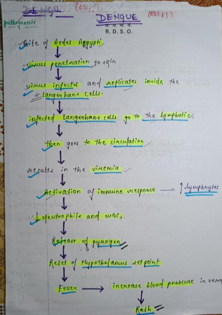 Dengue microbiology Handwritten Notes PDF