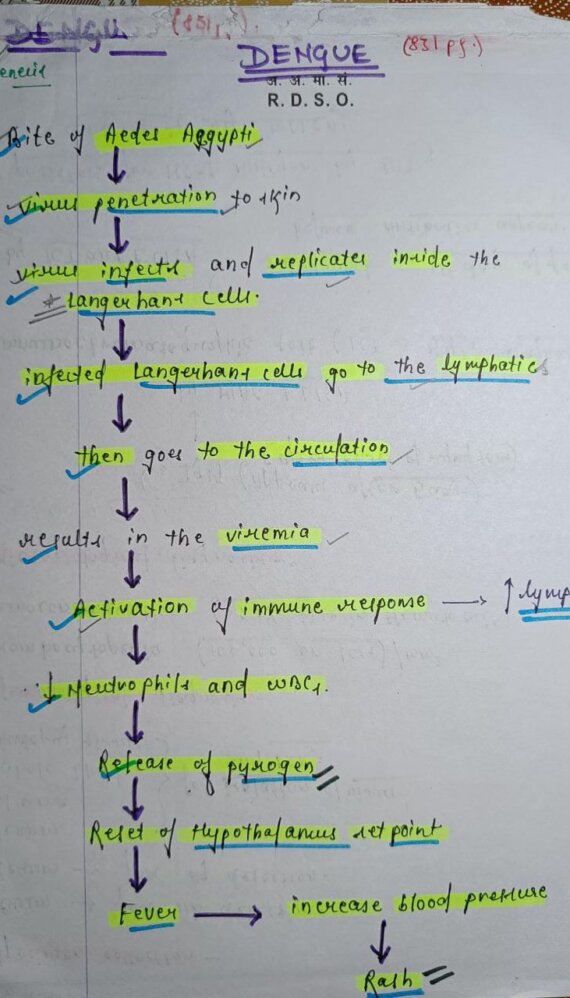 Dengue microbiology Handwritten Notes PDF