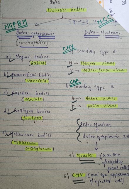 Inclusion bodies microbiology Notes PDF