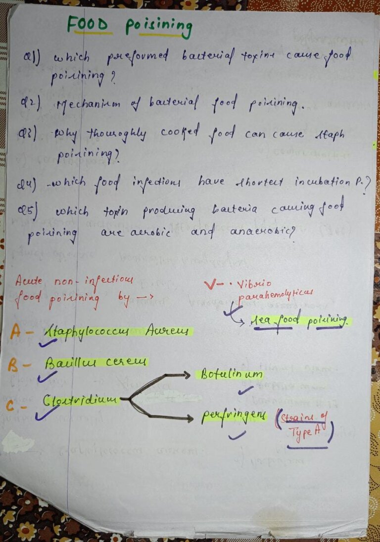 Food Poisisning Microbiology Handwritten Notes PDF – Shop Handwritten ...