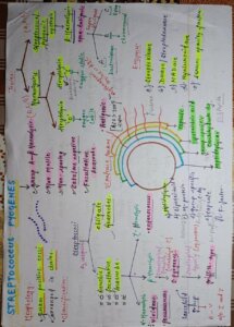 Complete Microbiology Handwritten Notes PDF For NEET, MBBS And ...