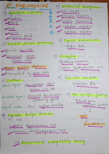 Important micro-organism (microbiology) Handwritten Notes