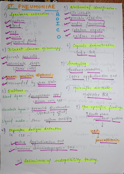 Important micro-organism (microbiology) Handwritten Notes