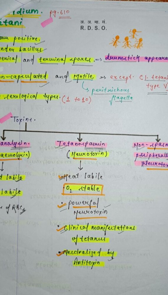Clostridium tetani microbiology Notes PDF
