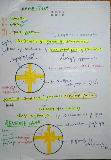 Microbiology mbbs notes