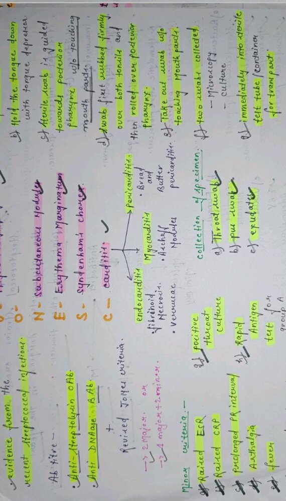 Rheumatic fever Microbiology Notes PDF