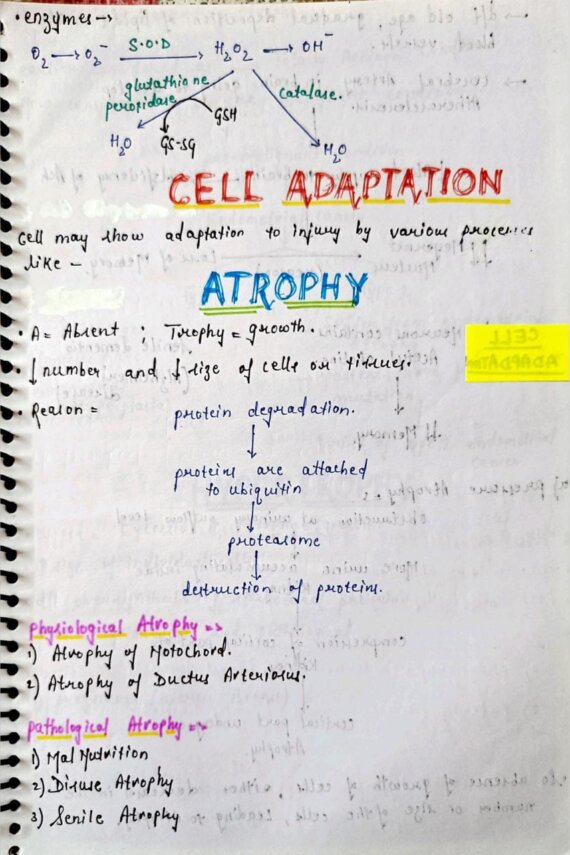 Cellular adaptations pathology Notes PDF for MBBS