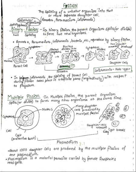 How do organism reproduce | Biology | CBSE class10 - Handwritten Notes PDF