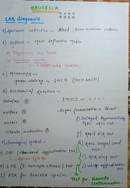 Brucella microbiology Notes | Handwritten Notes for NEET and MBBS Class