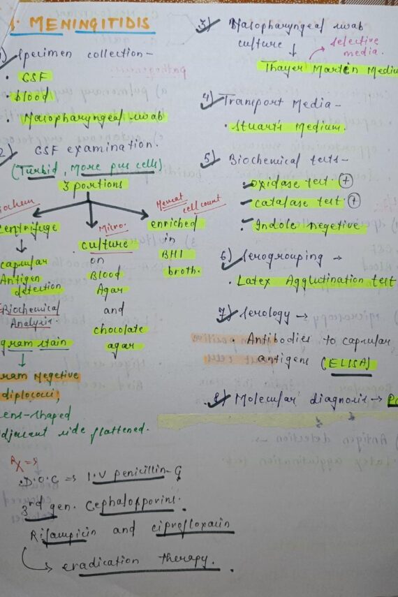 Neisseria meningitidis Notes PDF | MBBS Microbiology Notes