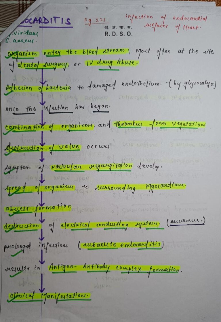 Endocarditis Microbiology Notes PDF – Shop Handwritten Notes (SHN)