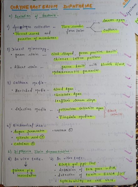 Corynebacterium diphtherae microbiology Notes