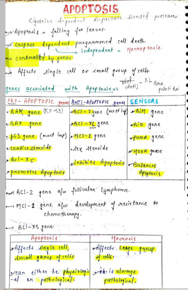 Apoptosis pathology Notes PDF- MBBS Handwritten Notes