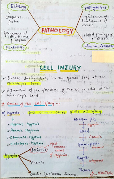 Cell injury pathology Notes PDF for MBBS Class