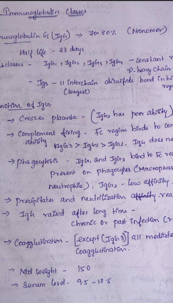 Antibody Handwritten Notes PDF