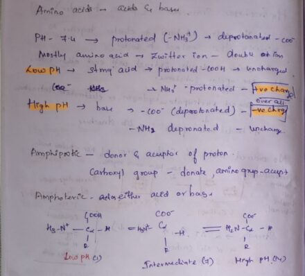 Amino acids (CSIR life science notes)