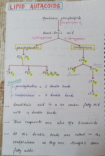Autocoids pharmacology handwritten notes PDF