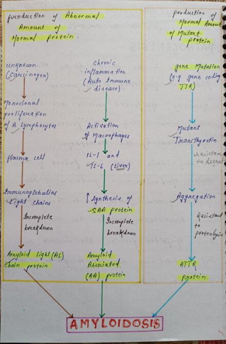 Amyloidosis pathology Handwritten Notes PDF