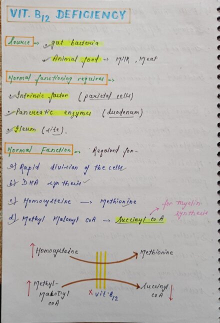 Mbbs handwritten notes pathology