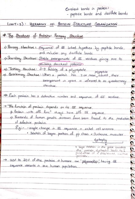 Introduction to protein and Structure of protein | Biochemistry ...