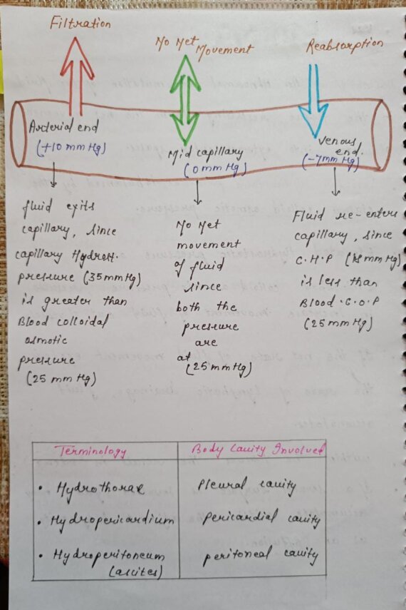 Hemodynamics pathology Handwritten Notes PDF Download