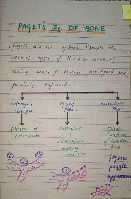 #mbbs #handwritten #notes #neet #medicalstudent #biochemistry #neetexam #physiology #medicine #anatomy #mbbs #surgery #doctor #medical #medicine #medico #doctors #mbbsstudent #mbbslife #medstudent #microbiology #pharmacology