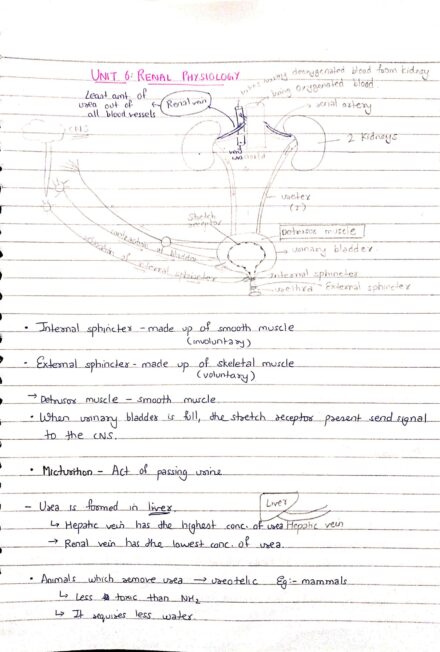 Renal Physiology | Human physiology | Biology handwritten notes