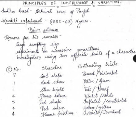 PRINCIPLES OF INHERITANCE AND VARIATION - BIOLOGY CLASS 12 Chapter Handwritten Notes PDF