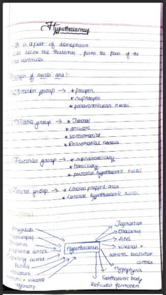 CNS Physiology MBBS Notes
