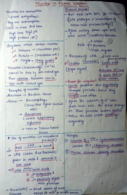 Microbes in Human Welfare Class 12 Handwritten Notes Nivedita Das