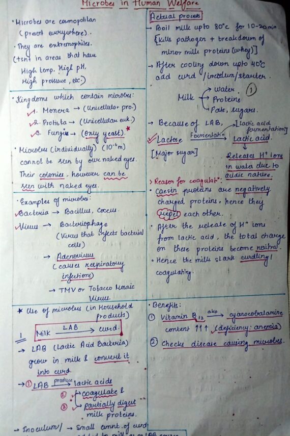Microbes in Human Welfare Class 12 Handwritten Notes Nivedita Das