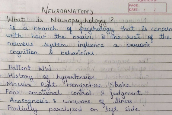 Neuropsychology Introduction Notes