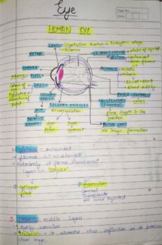 Complete Biology Notes For NEET: Handwritten Notes And Expert Guidance ...