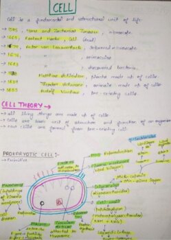 Complete Biology Notes For NEET: Handwritten Notes And Expert Guidance ...