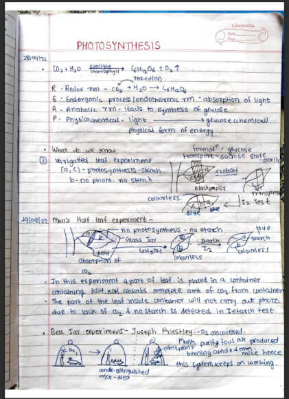 Class 11 Photosynthesis topper Handwritten Notes PDF
