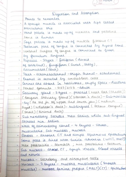Class 11th Digestion and Absorption Notes Biology for NEET by Vaaruna Ramakrishnan