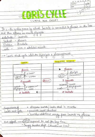 BDS 1st year COMPLETE BIOCHEMISTRY handwritten notes of topper pdf