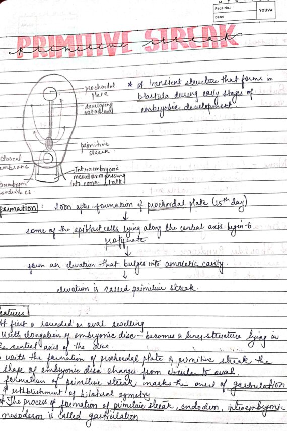 1st Year BDS Anatomy COMPLETE Head And Neck Notes For University Exams ...