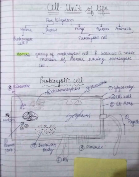 Class 11 Biology CH cell unit of life handwritten notes + neet questions - English