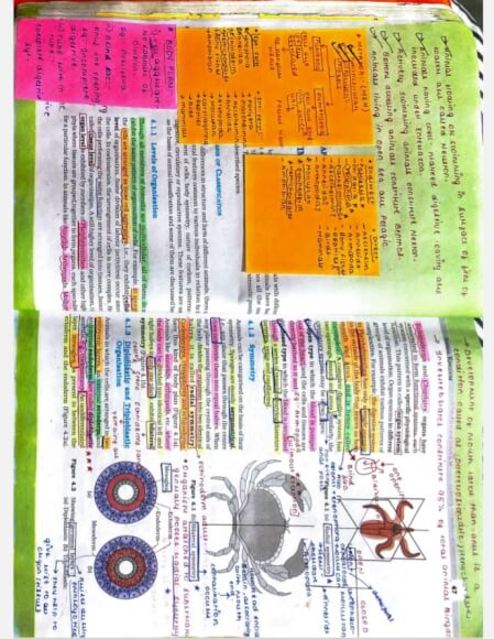 Class 12 : Complete Biology Mind Map By Experts in English