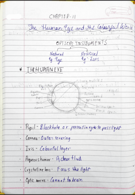 Class 10 Physics CBSE Chapter 11 - The Human eye and the colorful world